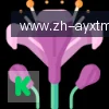 爱游戏体育 logo